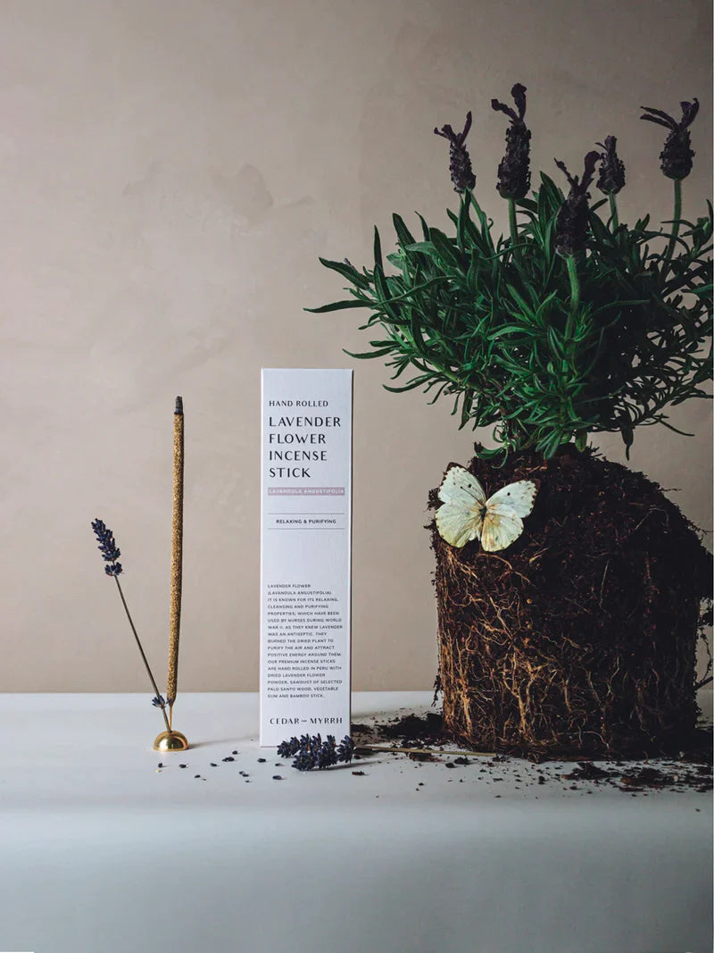 Goodnight Goddess {Bundle}