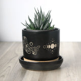 Snake Plant Pot with Saucer, Farmhouse Style + Moon Phase
