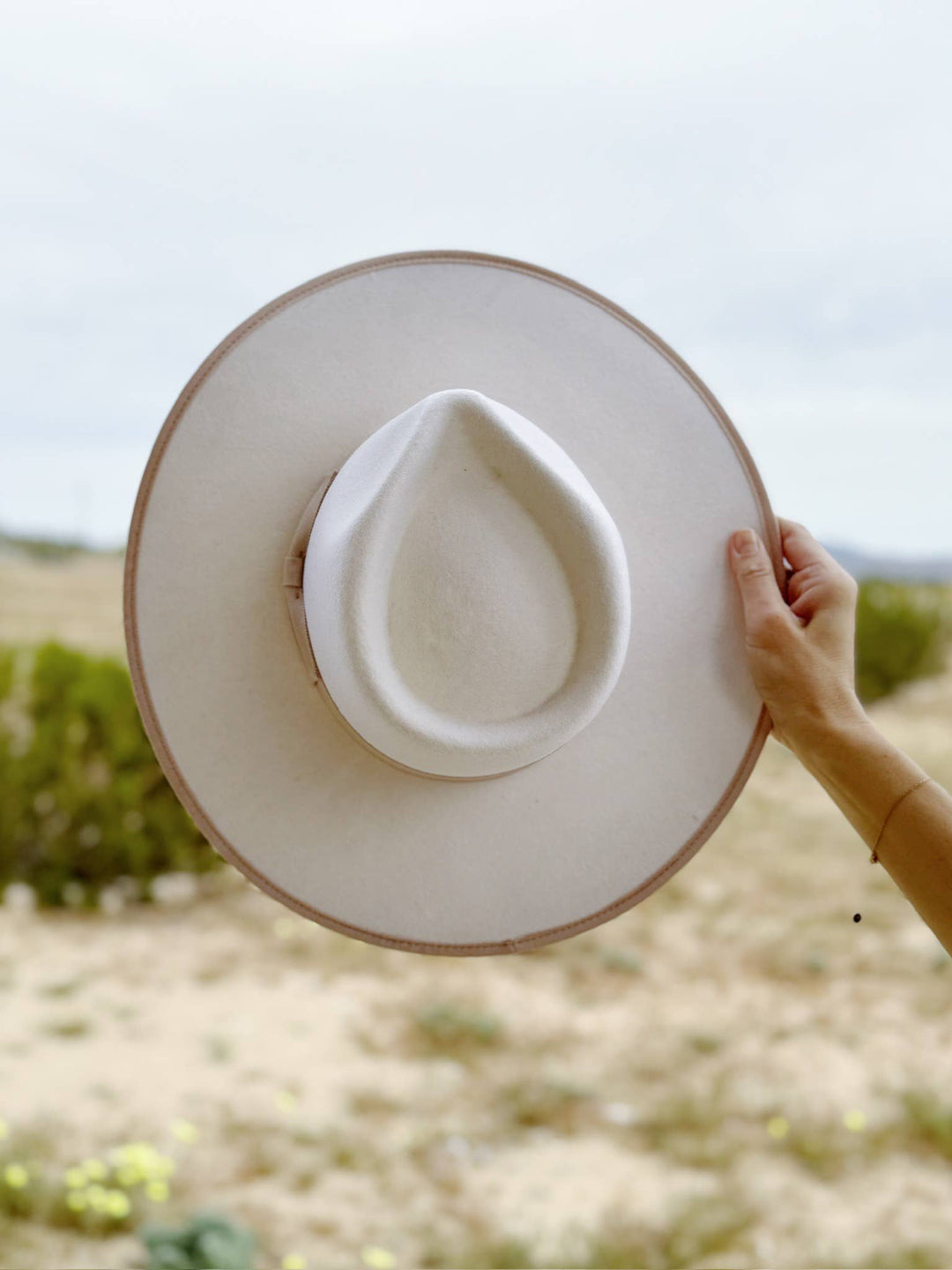 The Wilder Hat (rancher, wool, fedora)