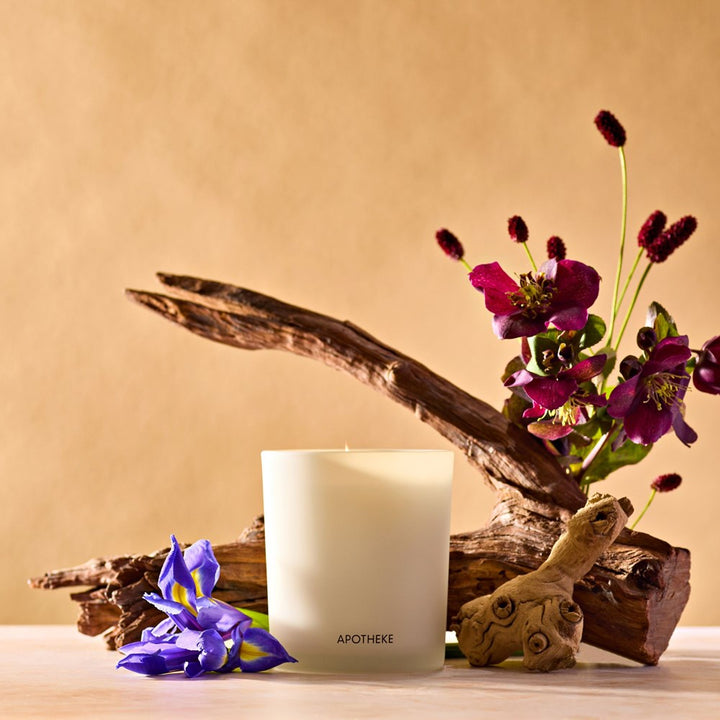 Signature Black Iris Oak Classic Candle