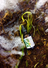 Hair Oil Mask