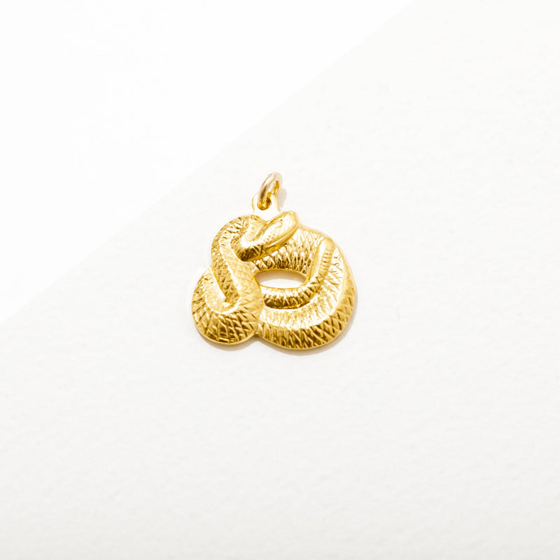 Coiled Snake Charm