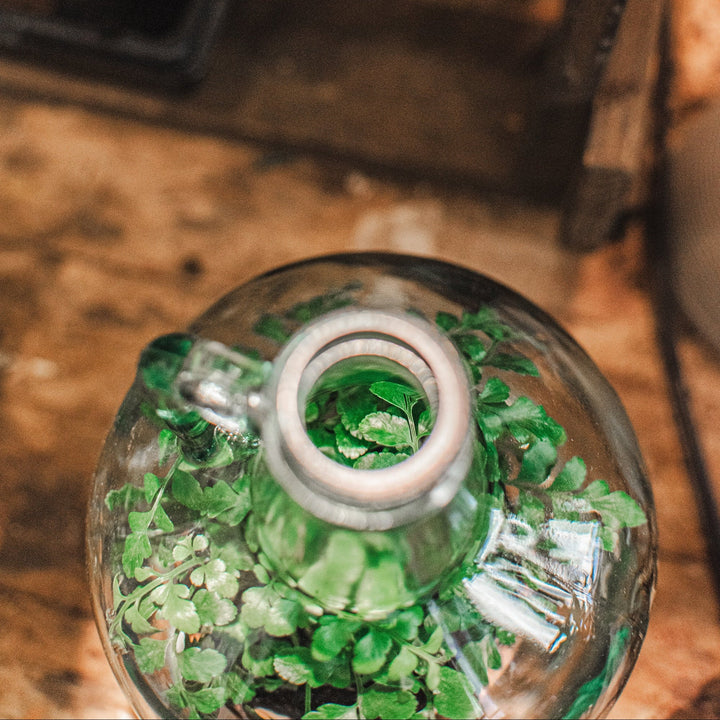 Recycled Glass Cloche