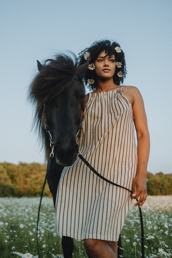 Ginny Striped Trapeze Dress