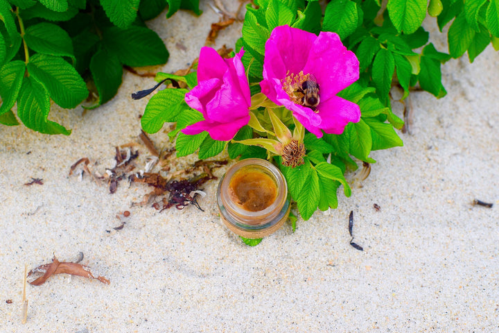Cinnamon Lip Plumper