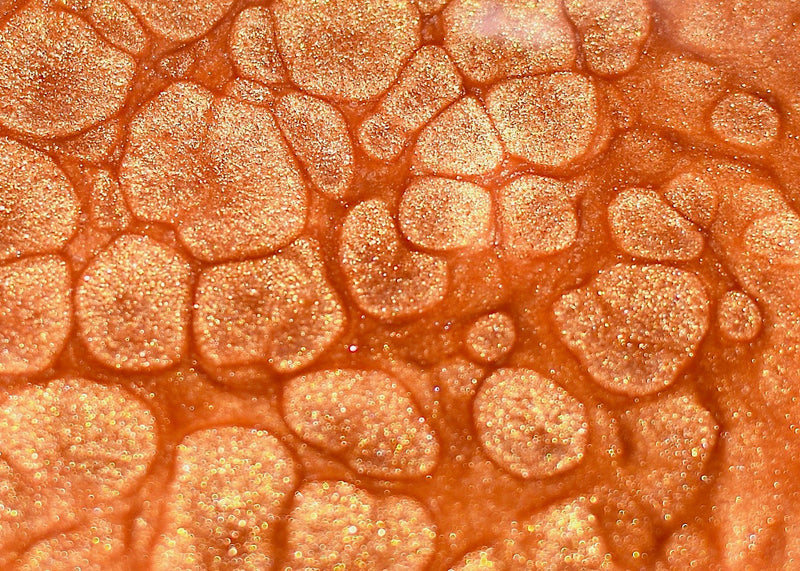 Rose Dust Gloss