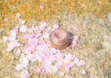 Pink Rose Eye Shadow