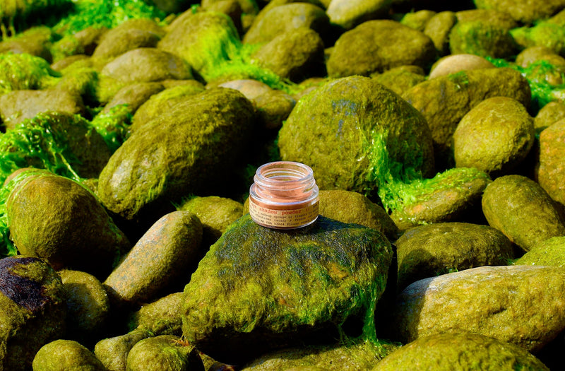 Earth Eye Shadow