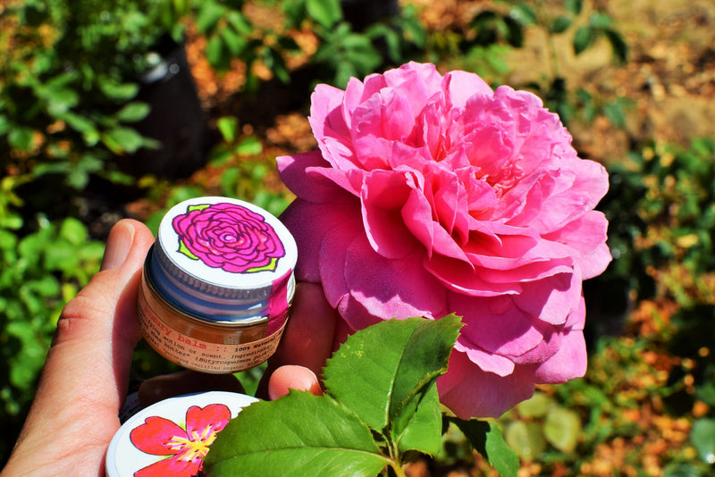 Beach Rose Luxury Balm