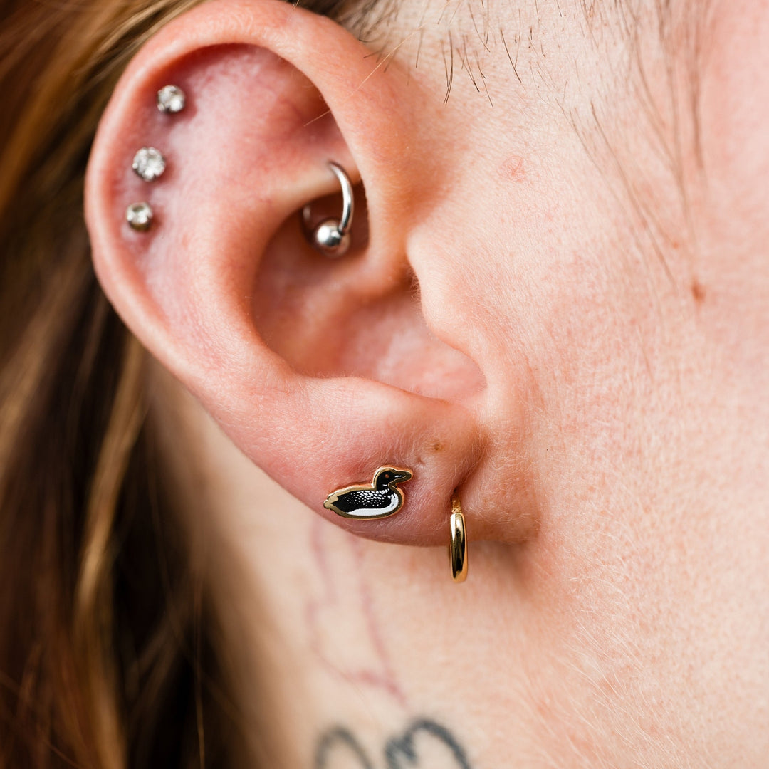 Loon Studs