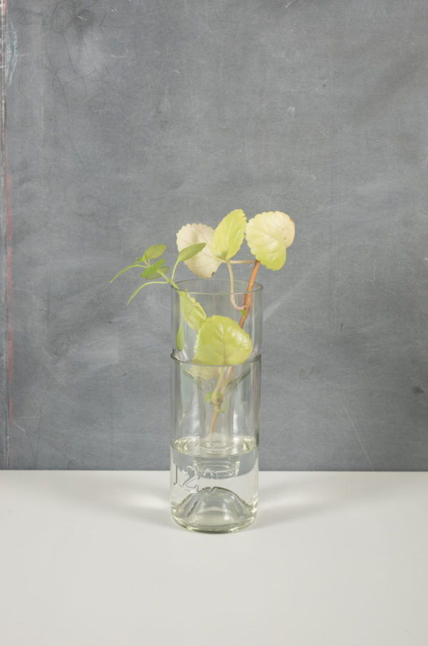 Self-watering Planter