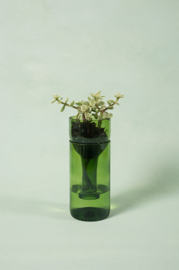 Self-watering Planter