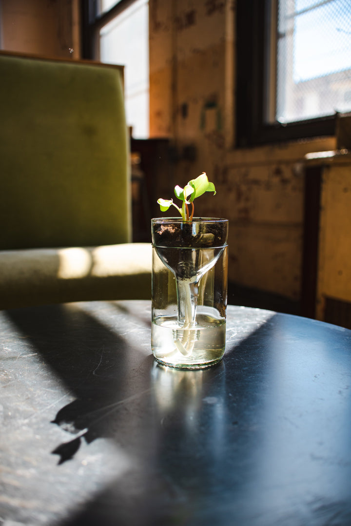 Self-watering Planter