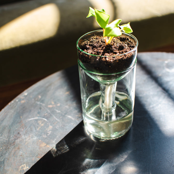 Self-watering Planter