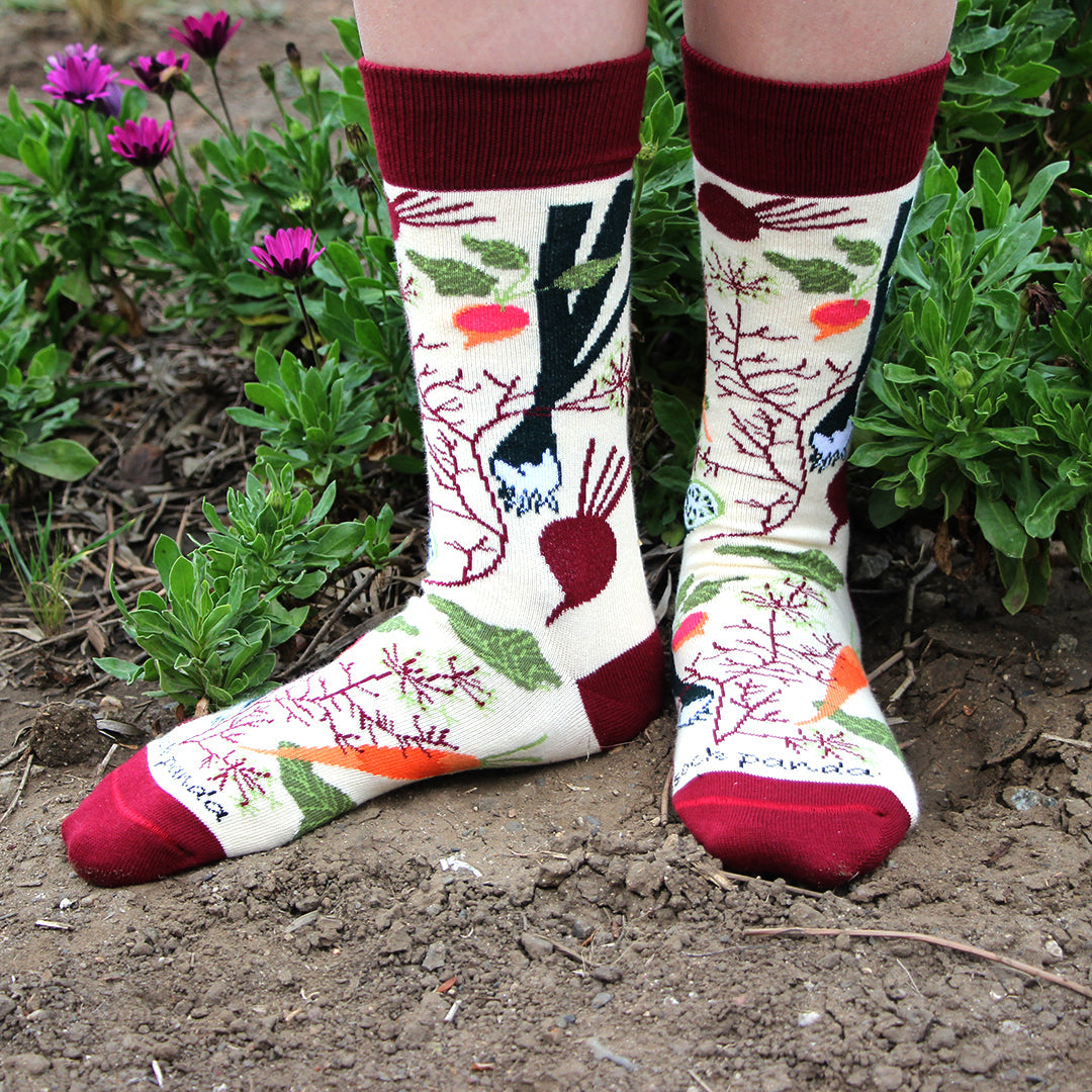 Fall Vegetable and Fruit Socks (Adult Medium) - Sock Panda
