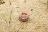 Earth Eye Shadow