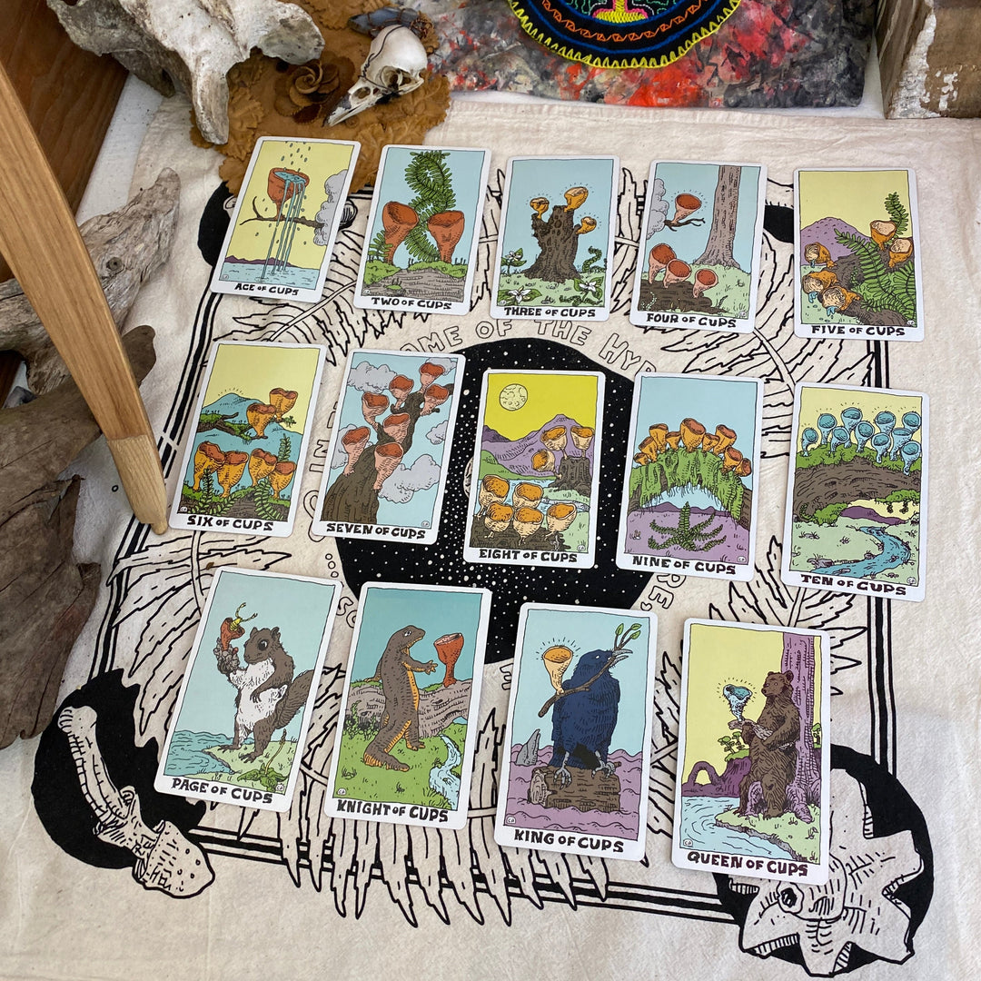 The Mushroom Tarot Deck, 2nd Edition