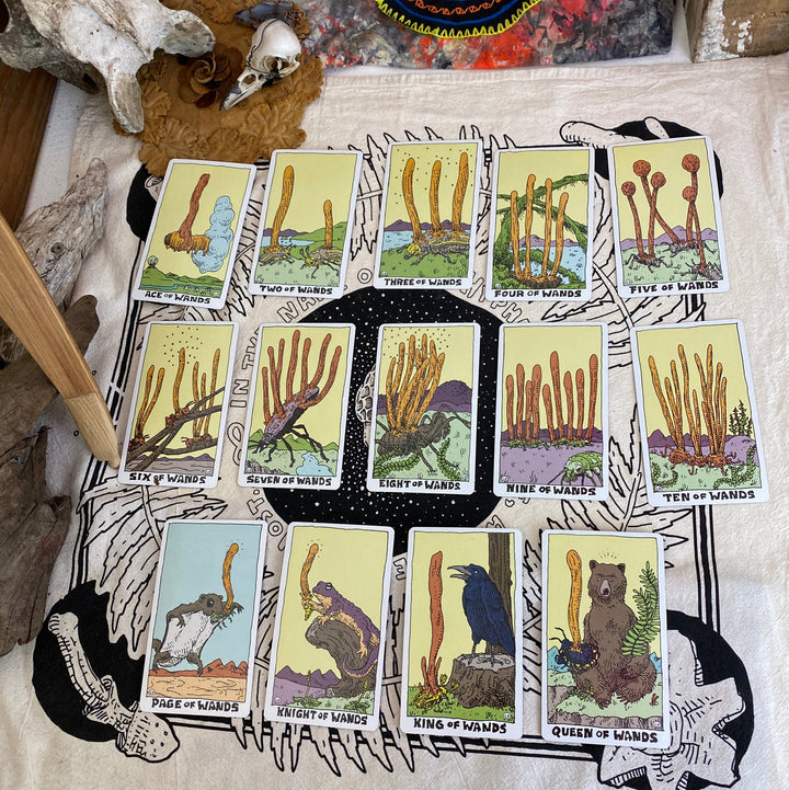 The Mushroom Tarot Deck, 2nd Edition