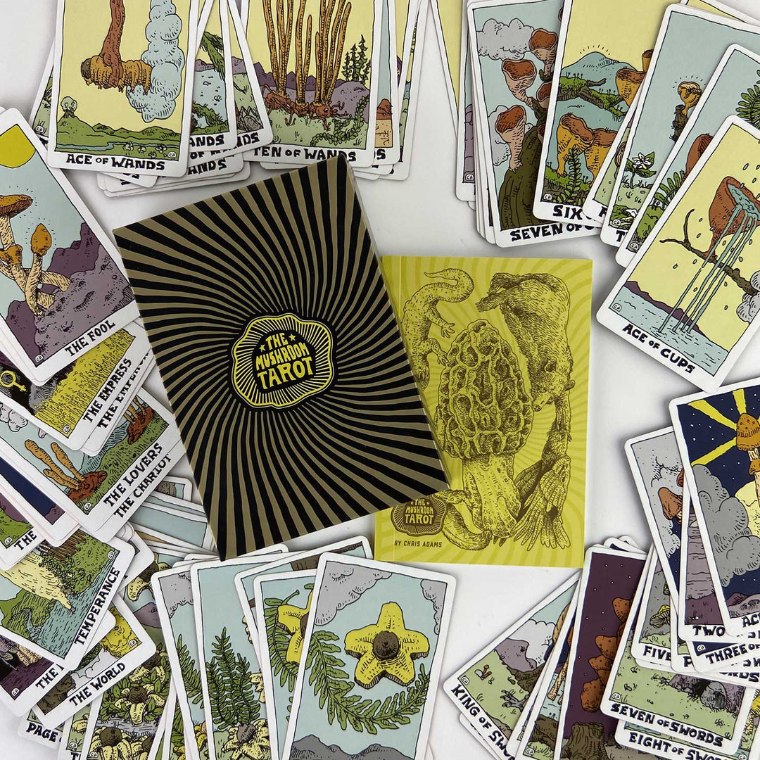 The Mushroom Tarot Deck, 2nd Edition