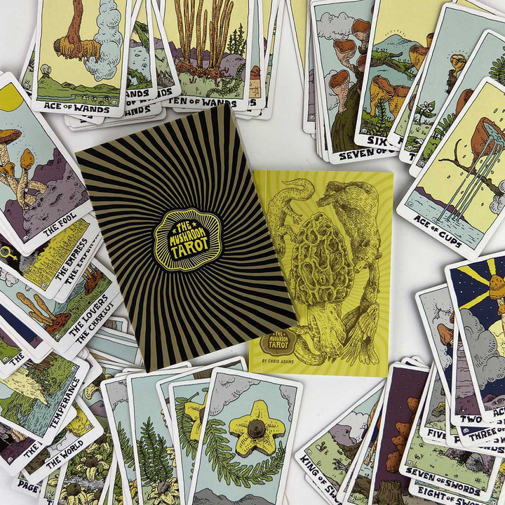 The Mushroom Tarot Deck, 2nd Edition