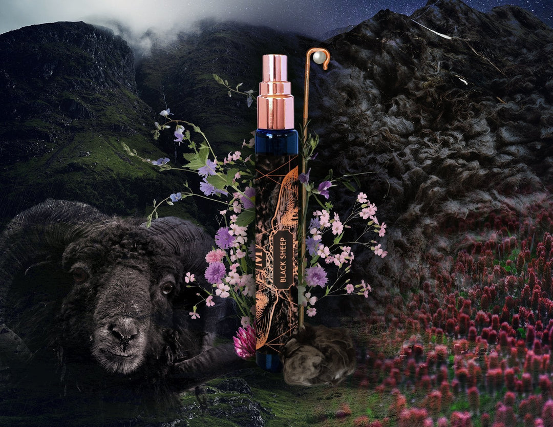 BLACK SHEEP - Natural Costus High Perfumery