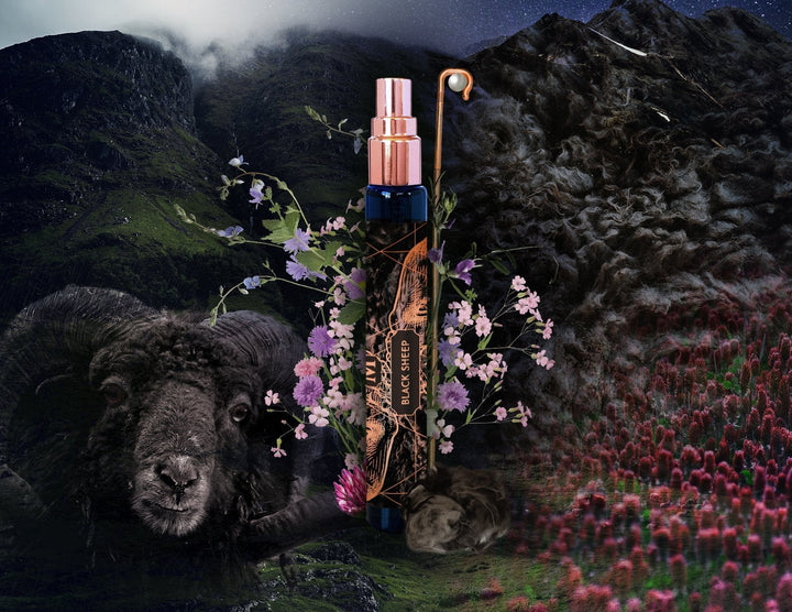BLACK SHEEP - Natural Costus High Perfumery