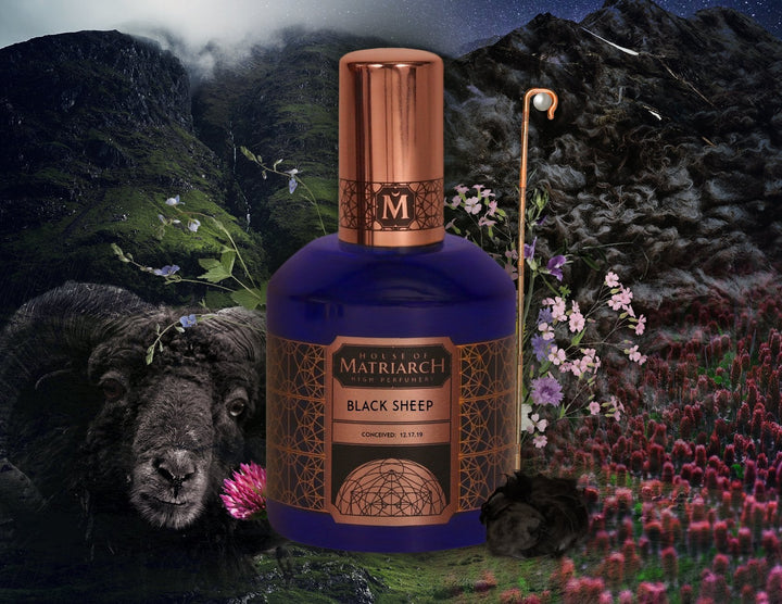 BLACK SHEEP - Natural Costus High Perfumery