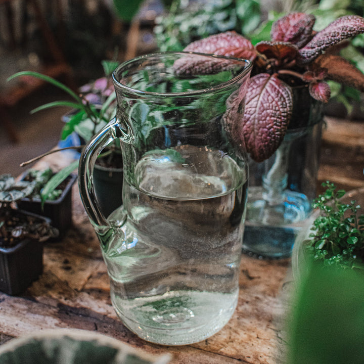 Handled Pitcher