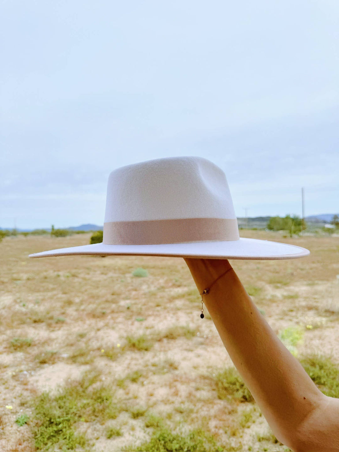 The Wilder Hat (rancher, wool, fedora)
