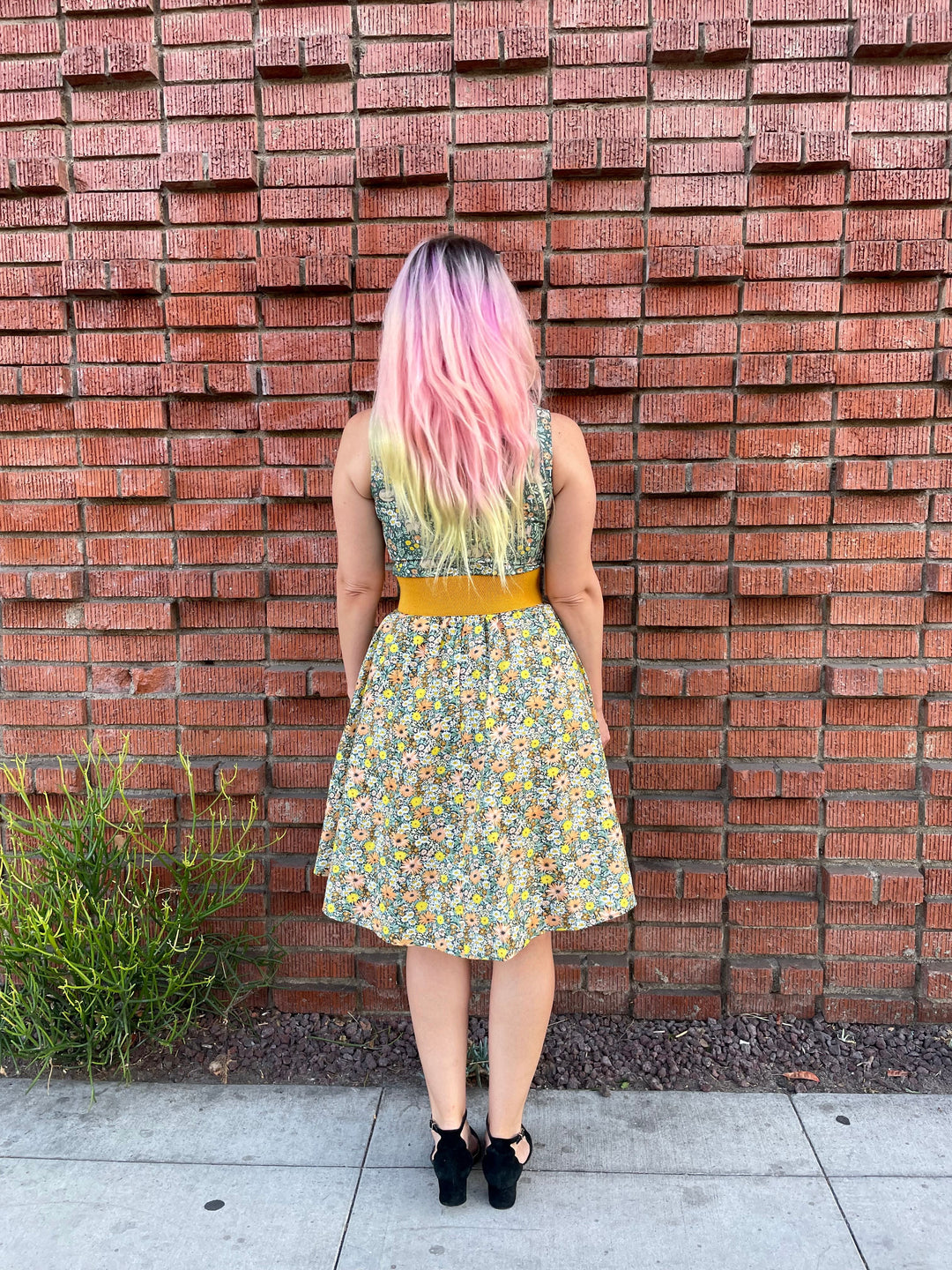Cats in the Fields Twofer Dress