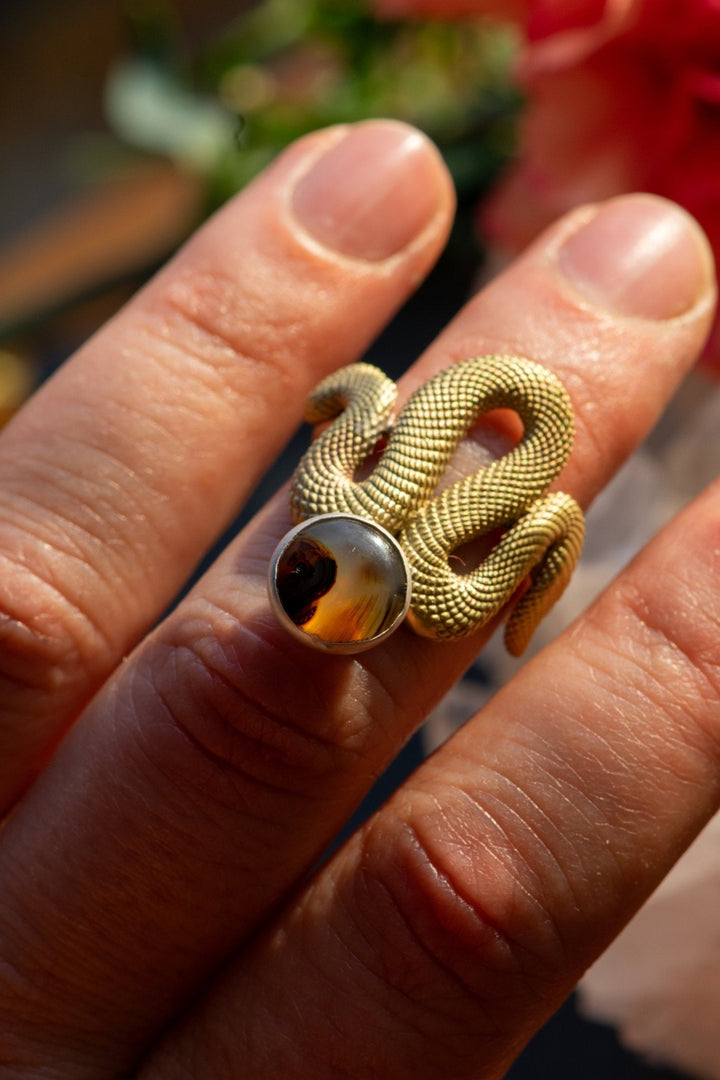 MONTANA AGATE OUROBOROS