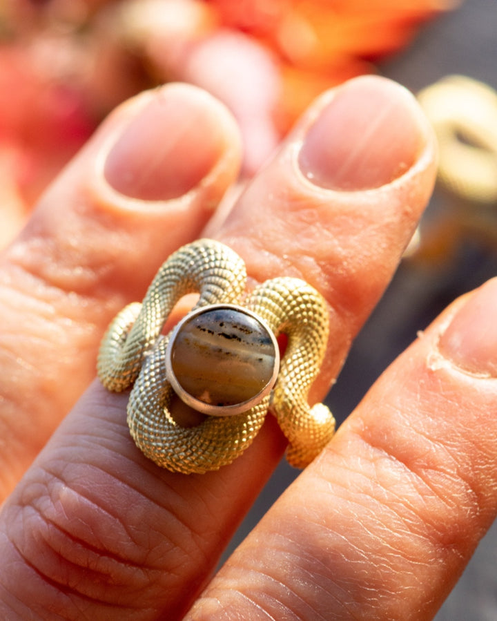 OUROBOROS COMPASSION SET SIZE 8 RINGS