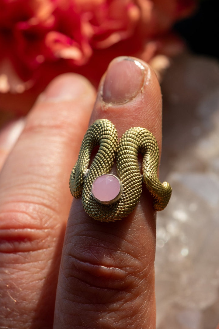OUROBOROS SIZE 6 RINGS