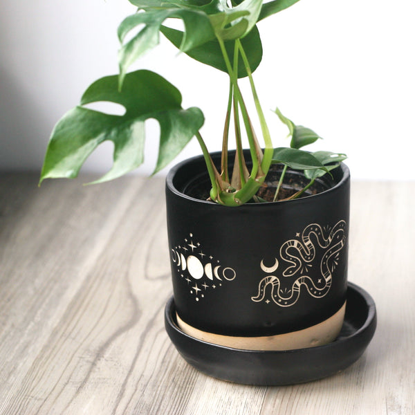 Snake Plant Pot with Saucer, Farmhouse Style + Moon Phase