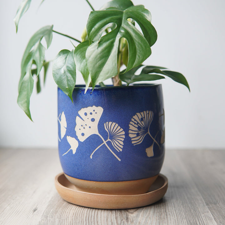 Ginkgo Leaves Farmhouse Planter + Saucer