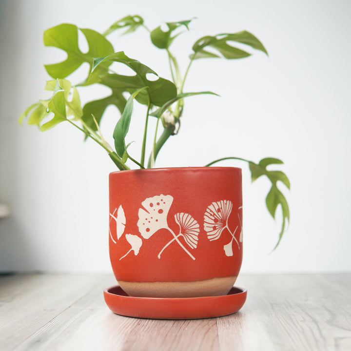 Ginkgo Leaves Farmhouse Planter + Saucer