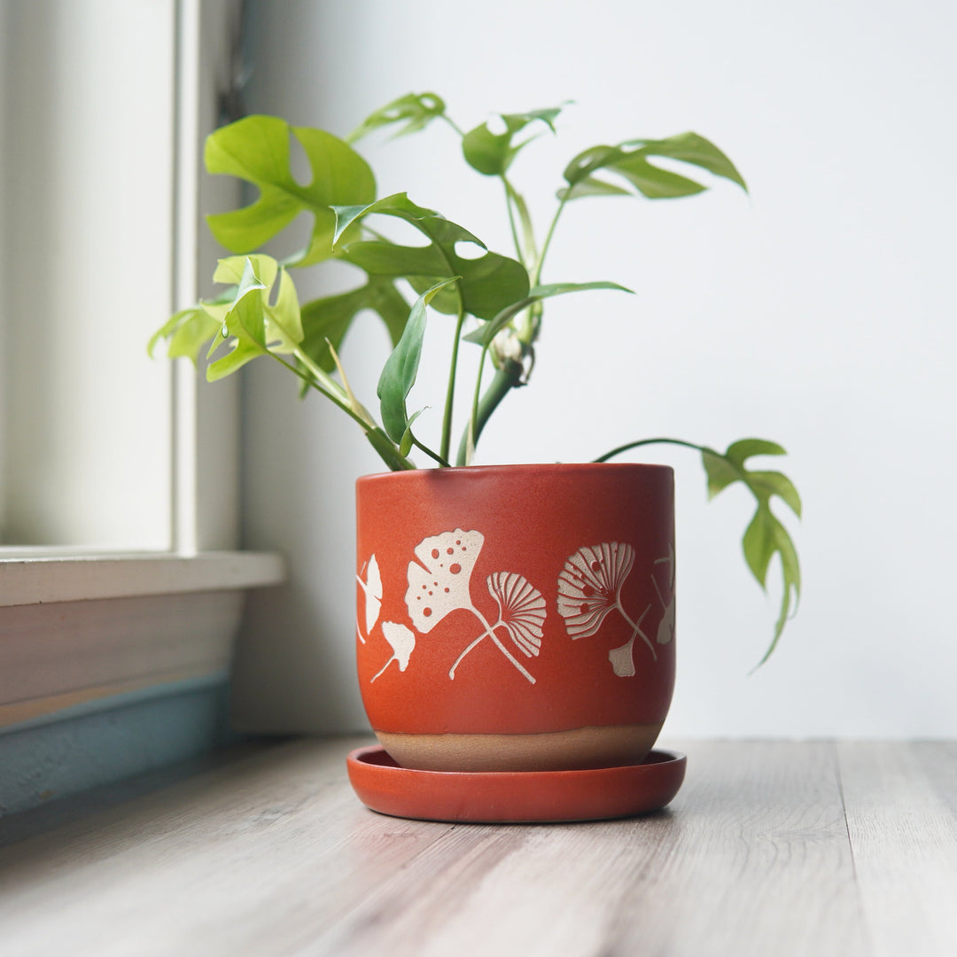Ginkgo Leaves Farmhouse Planter + Saucer