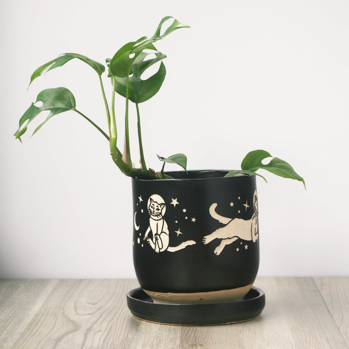 lazy oaf plant pot Space Cats Farmhouse Planter with Saucer