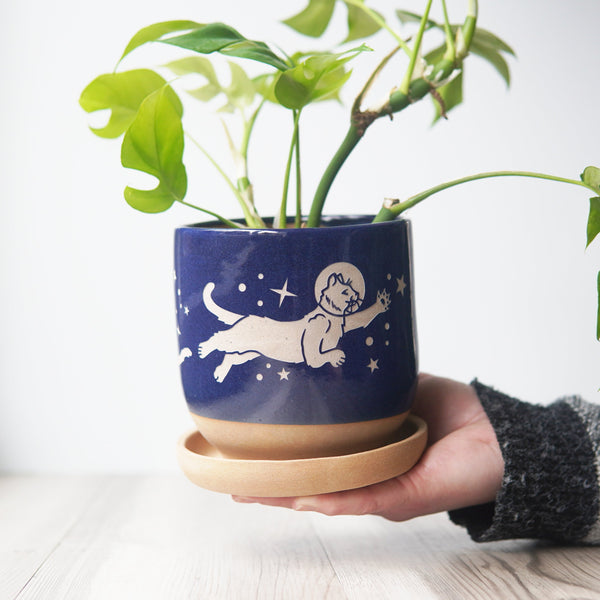 Space Cats Farmhouse Planter with Saucer