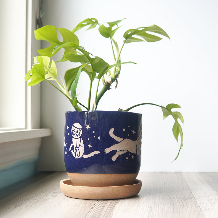 farmhouse plant pots Space Cats Farmhouse Planter with Saucer