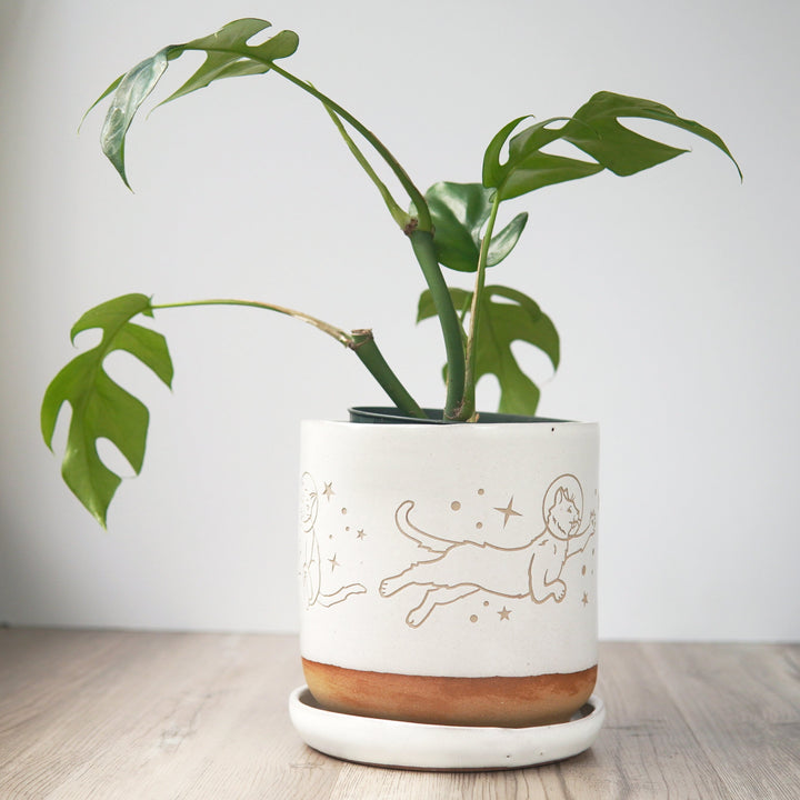 Space Cats Farmhouse Planter with Saucer