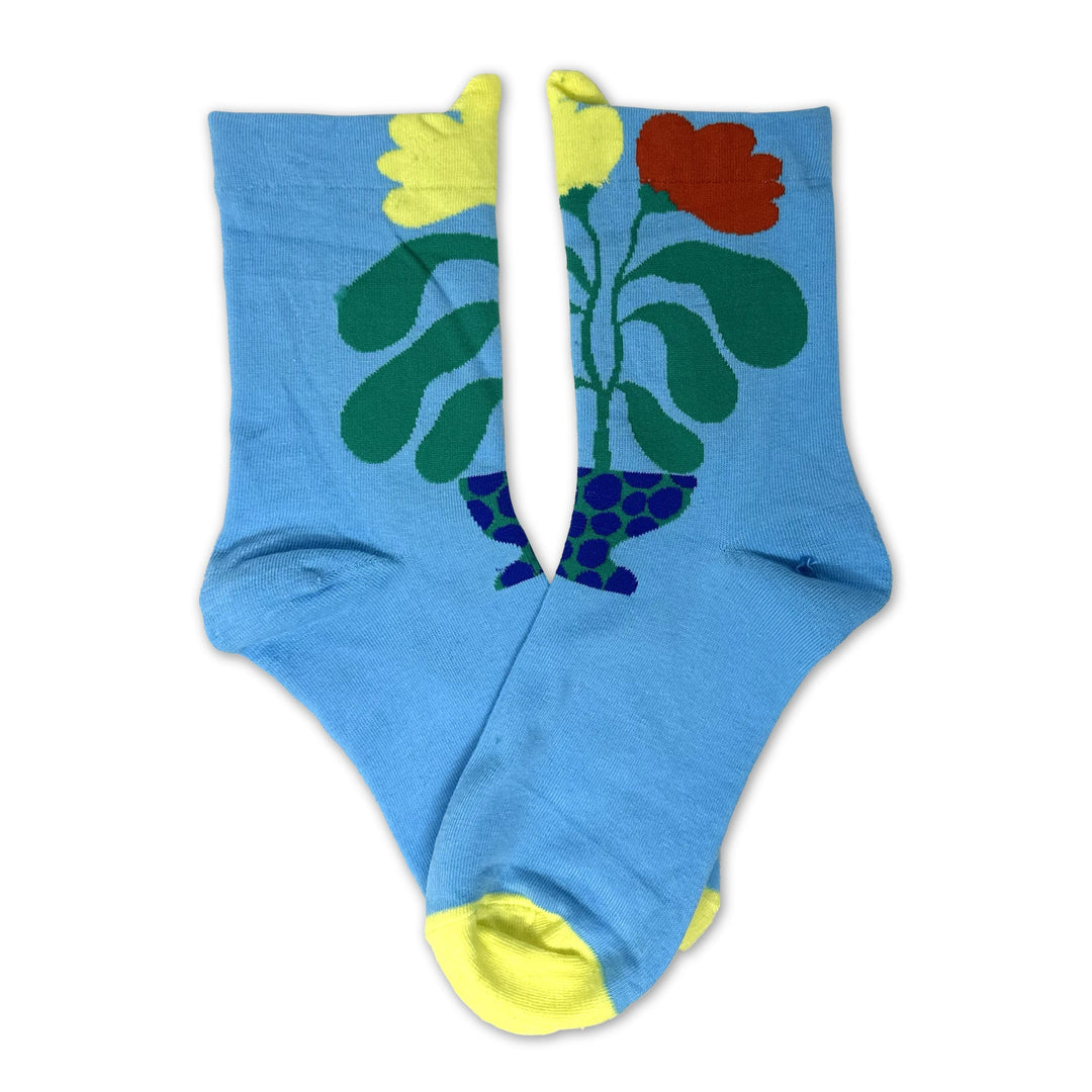 Barrymore Socks