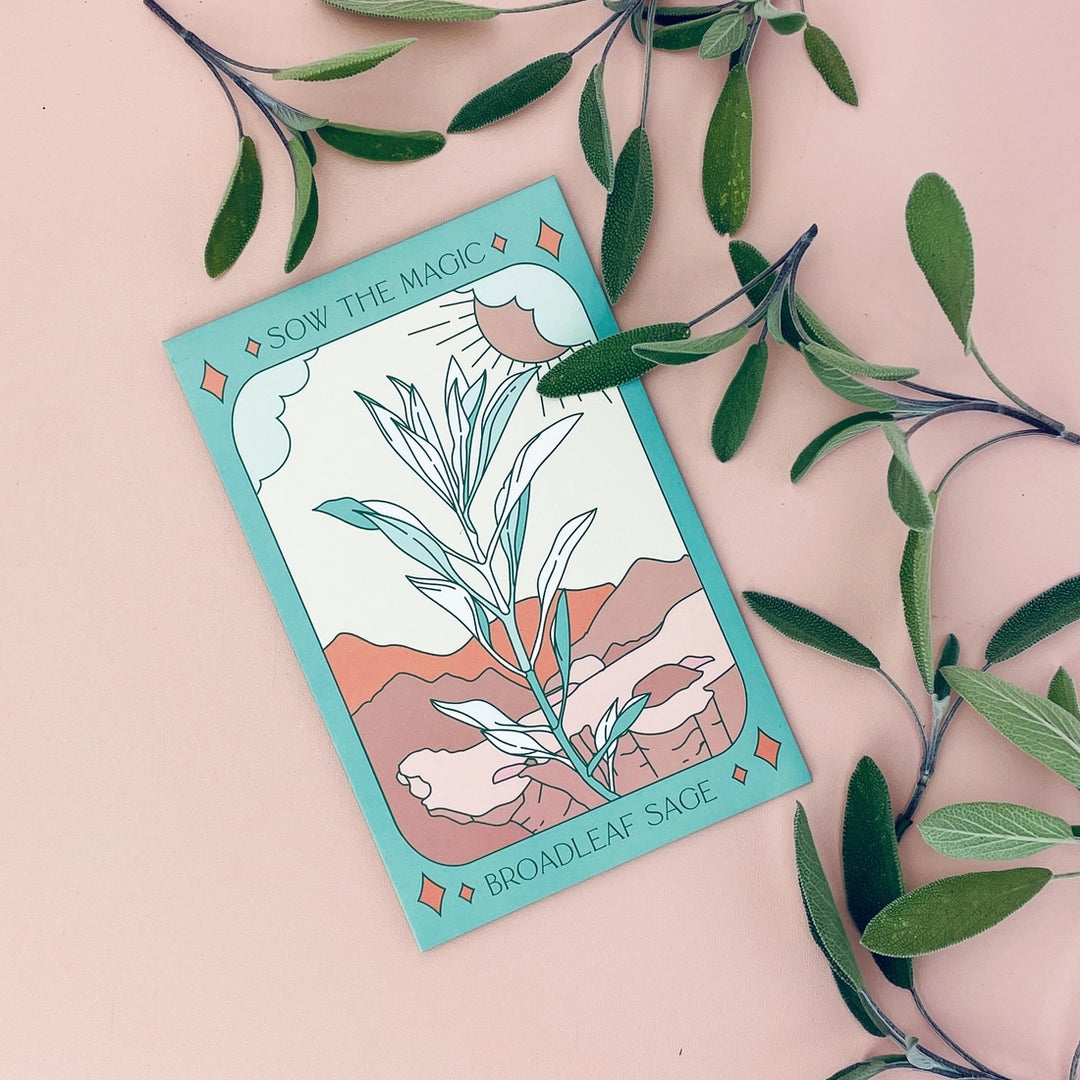 Broadleaf Sage