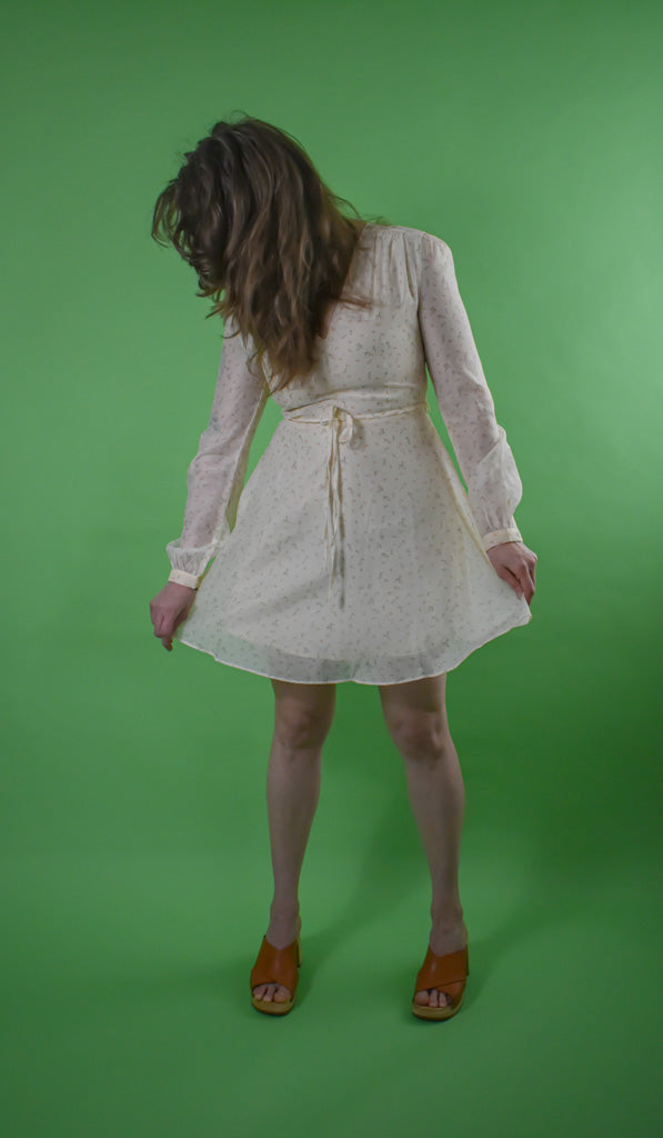 Sheer Bishop Sleeved Ditsy Flower Dress