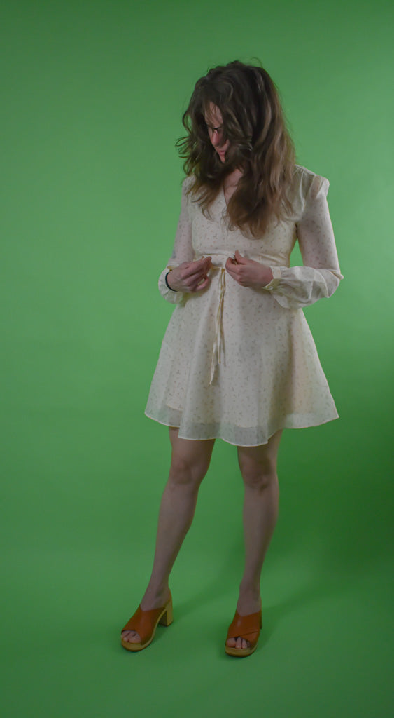 Sheer Bishop Sleeved Ditsy Flower Dress