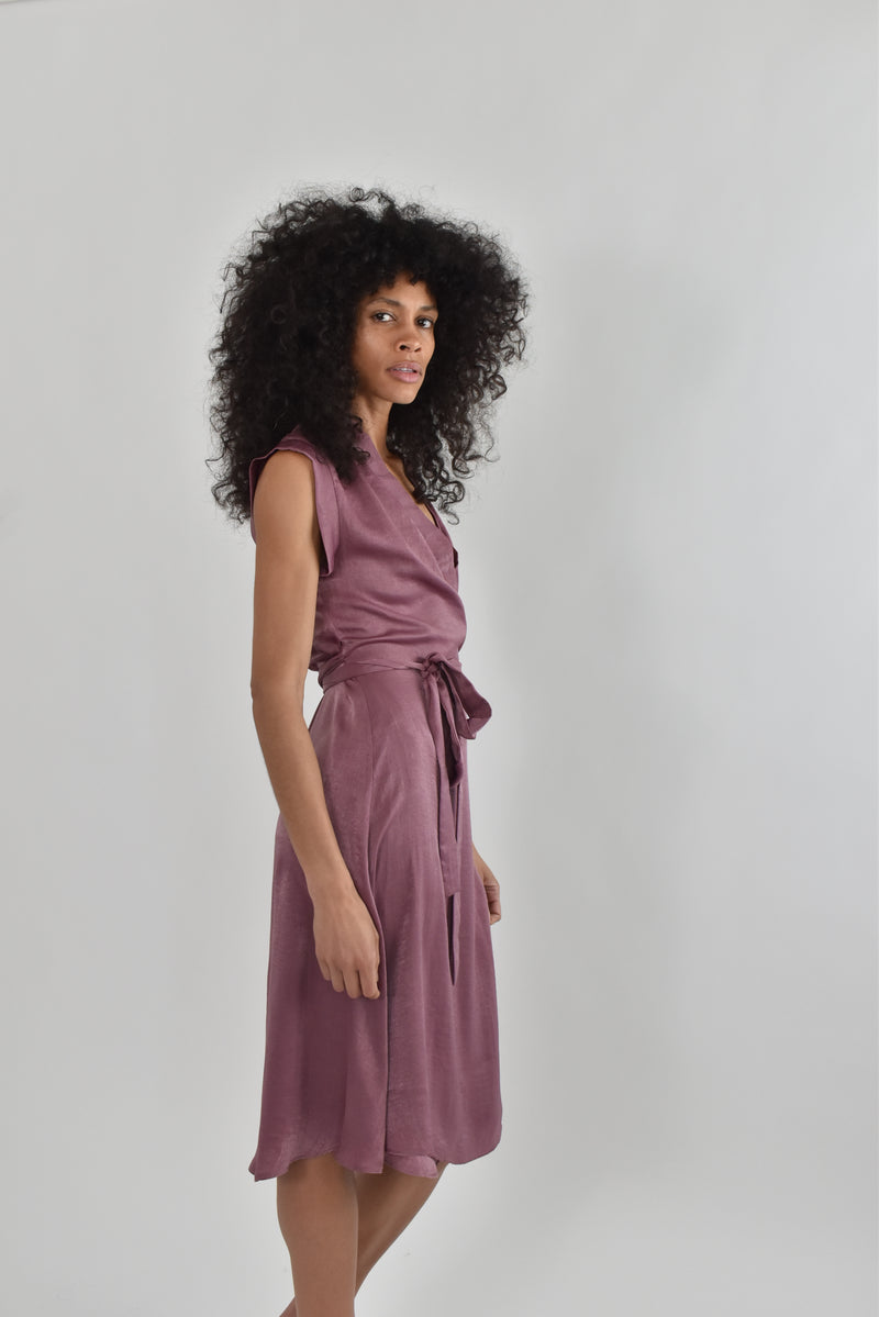 Francis Dress in Mauve