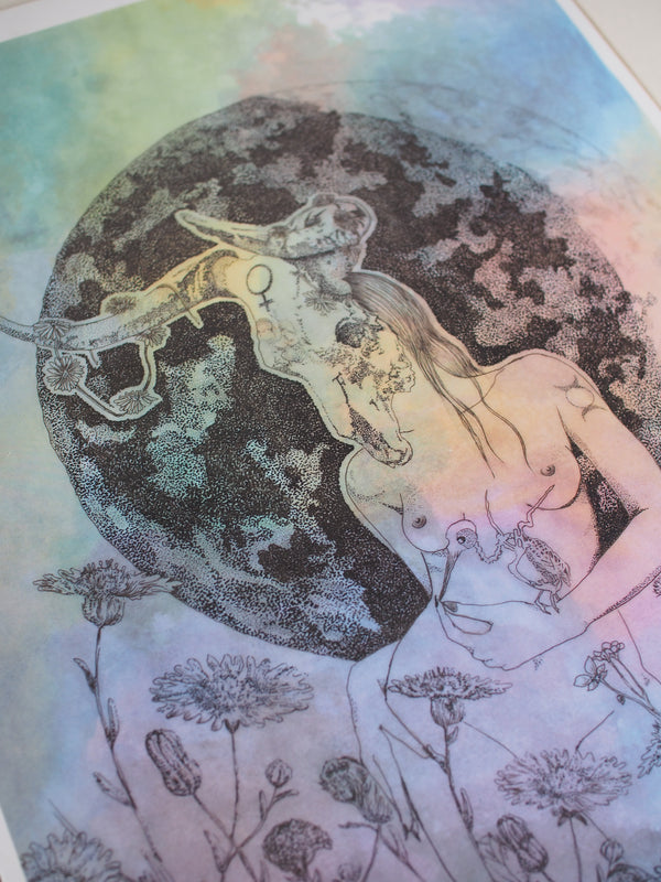 Taurus Print