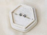 Starlight Stud Earrings