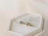 Starlight Stud Earrings